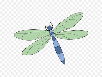 A Dragonfly? Drawing Tutorial Image - dragonfly 