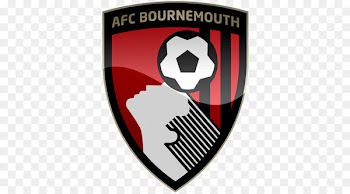 A.F.C. Bournemouth Dean Court English Football League Premier League - premier league 