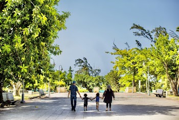 A Family Walking In The Park