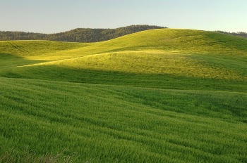 A farm located near Moscow, | Free Photo - rawpixel