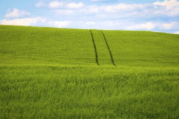 A farmer harvests hay a Carroll | Free Photo - rawpixel