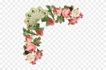 A Feedback Would Be Very Nice - Pierre Joseph Redoute - Damask Rose Giclee On Canvas