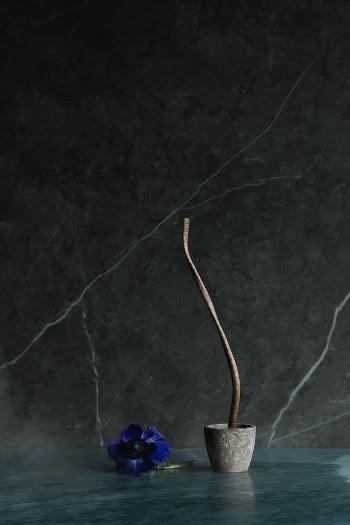 A Flower by a Marble Wall