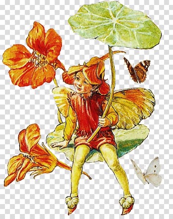 A Flower Fairy Alphabet The book of the flower fairies, Fairy transparent background PNG clipart