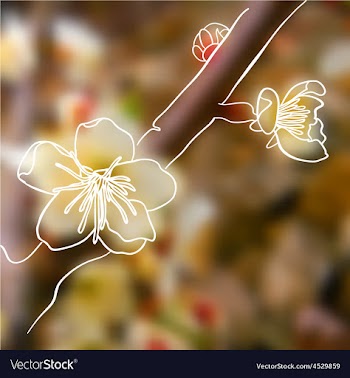 A flowers on the tree vector image