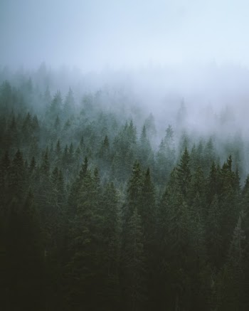 a foggy afternoon in Italy’s Dolomites. Follow me for more on Instagram @petenathanson