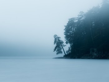 A foggy November evening at Ågelsjön. 
This narrow but long lake is a popular destination for locals and tourists alike, no matter the season. Situated in a steep and wooded valley just north of Norrköping.
The fog was thick and blocked the view of the other side, isolating the tree against the background.