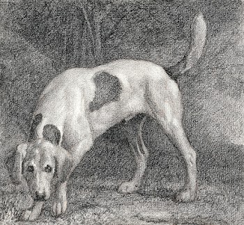 A Foxhound on the Scent (1788) by George… | Free public domain illustration
