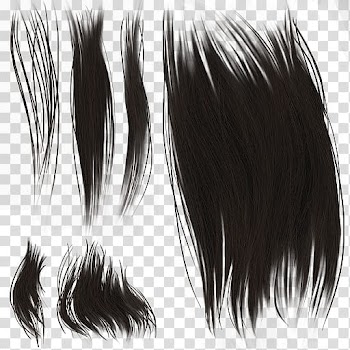 A Gift For You Murphy Concept Outfit Meshmod transparent background PNG clipart