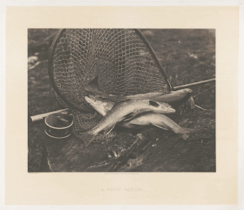 A good catch | Free Photo - rawpixel