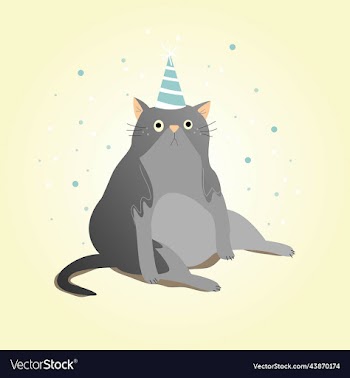 a gray cat in festive cap sits on the floor