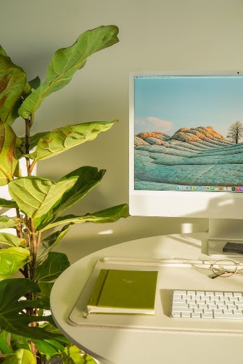 A Green Plant Beside a White Computer with Notebook