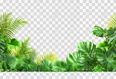 a green plant border with leaves on a PNG transparent background