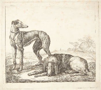A greyhound and a lying | Free Photo - rawpixel