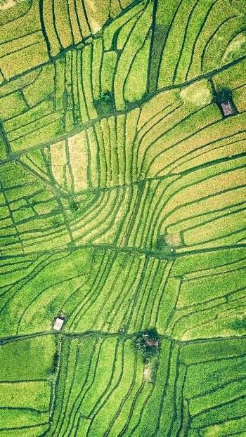 A grid