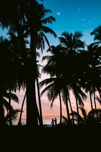 A groom and bridge are married under a tropical night sky in the Maldives
