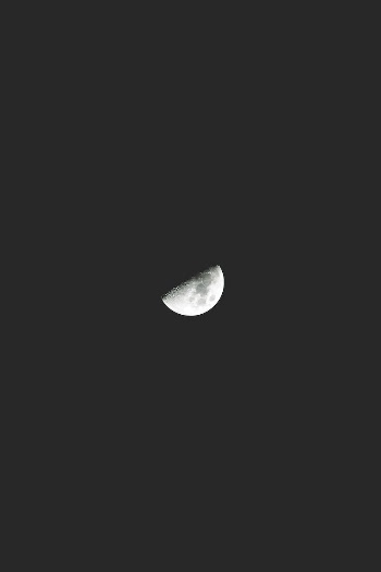 A half moon on the night | Free Photo - rawpixel