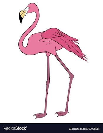 a hand drawn giant pink flamingo bird