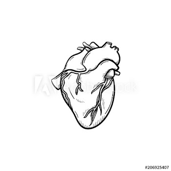 A heart hand drawn outline doodle icon