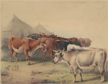 A Herd of Cattle | Free Photo - rawpixel