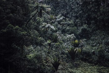 A high-angle shot of a humid | Free Photo - rawpixel