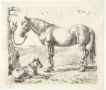 A horse and a dog | Free Photo - rawpixel