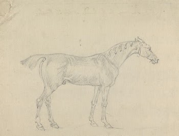 A Horse | Free Photo - rawpixel