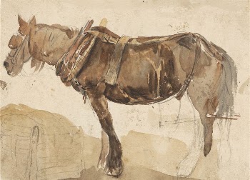 A Horse in Harness Seen | Free Photo - rawpixel