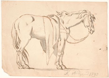 A horse with a blanket | Free Photo - rawpixel