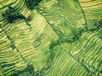 A hut in the fields