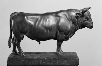 A Jutland bull | Free Photo - rawpixel