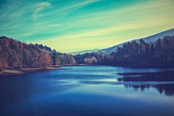          A Lake In A Forest Free Photo     