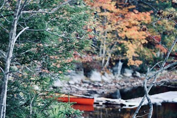 A Lake With Fall Foliage Background