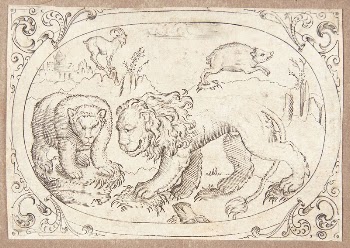 A lion and a bear, | Free Photo - rawpixel