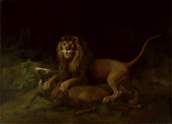 A Lion Attacking a Stag | Free Photo - rawpixel