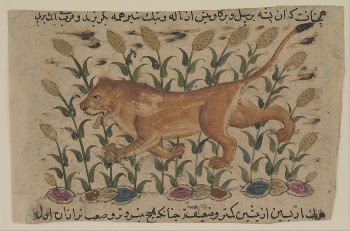 " A Lion", Folio from a Dispersed | Free Photo - rawpixel