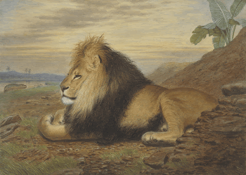 A Lion painting in high | Free Photo - rawpixel