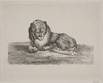 A lionReviewed by contributorsThis translation | Free Photo - rawpixel