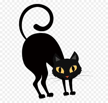 A little horror dark night black cat 