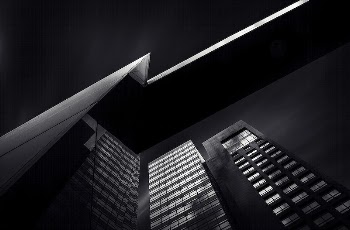 A low-angle shot of tall | Free Photo - rawpixel