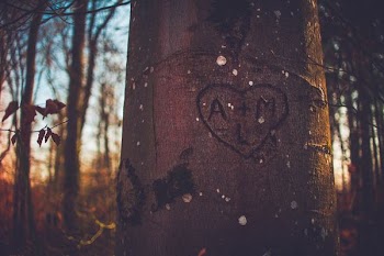 A+M carved on tree
