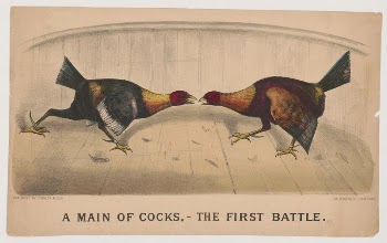 A main of cocks,--the first | Free Photo - rawpixel