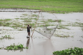 A Man Fishing in A Pond