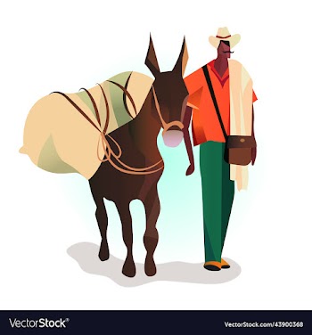 a man in hat holds donkeys bridle
