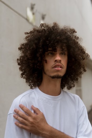 A Man with afro Hair Wearing a White Crew Neck T-shirt · Free Stock Photo