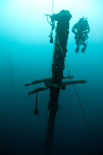 A mast of the schooner DEFIANCE. 