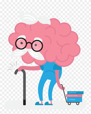 A Medical Explanation To What Happens When We Present - Old Brain Cartoon