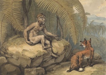 A Monkey and a Fox | Free Photo - rawpixel