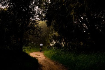A morning commute through unknown areas. 