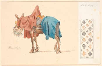 A mule in the process | Free Photo - rawpixel